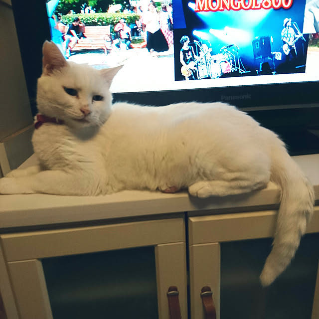 Sophie171922さんの実例写真