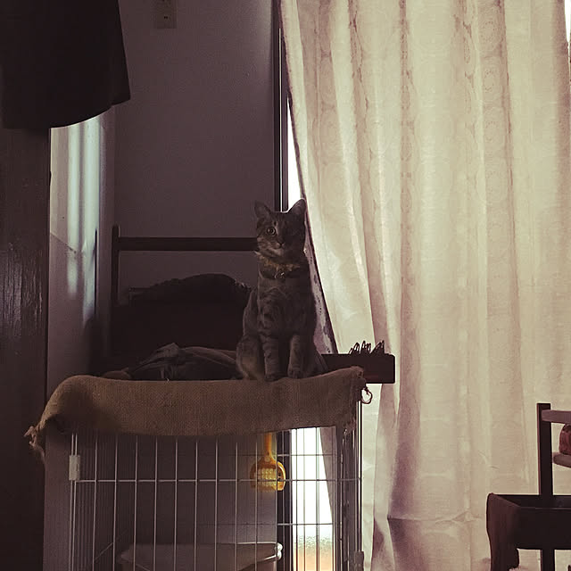 Mさんの実例写真