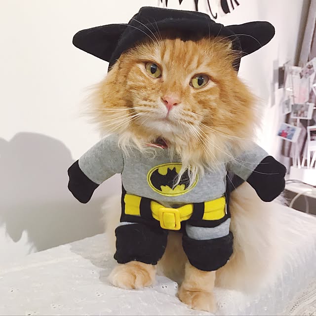 Belleさんの実例写真