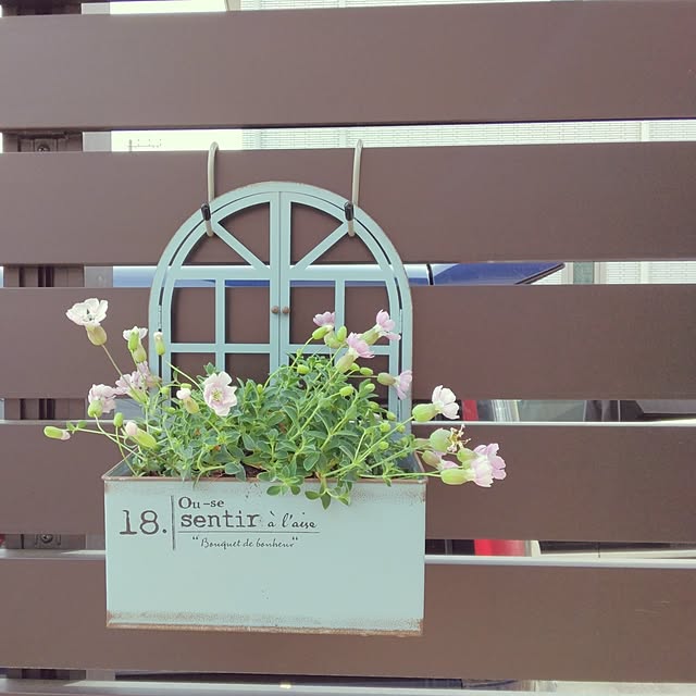 mii-sanさんの実例写真