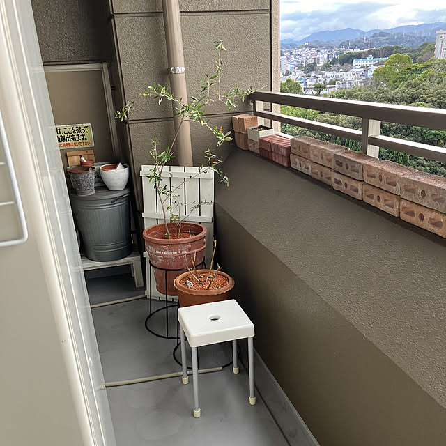 koshiregutyoさんの部屋