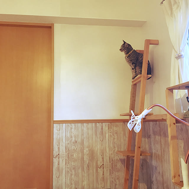 Mさんの実例写真