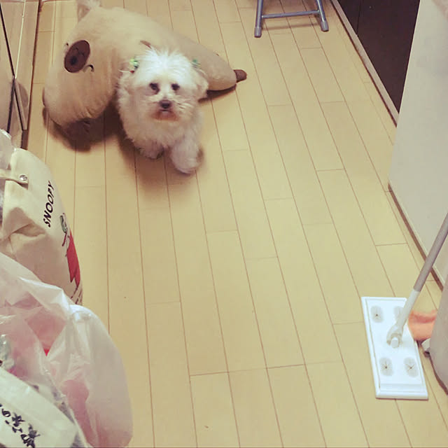 mamaさんの実例写真