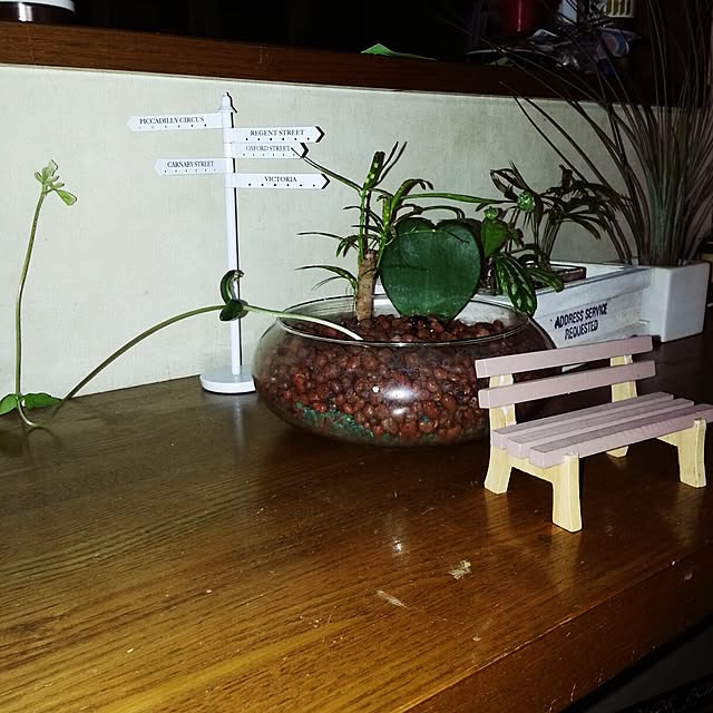 sumieさんの実例写真