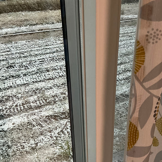 chiiyanさんの部屋