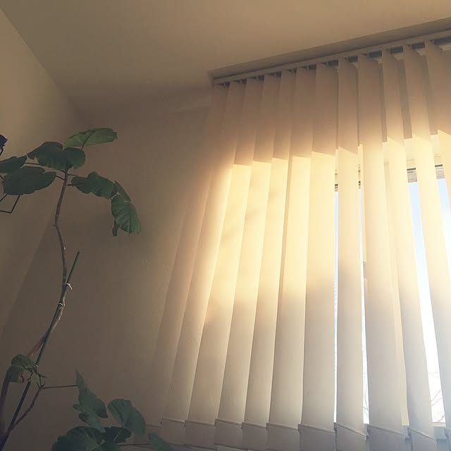 mihaaさんの実例写真