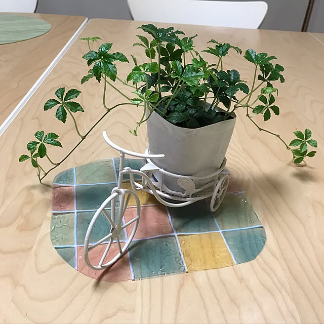 collonさんの実例写真