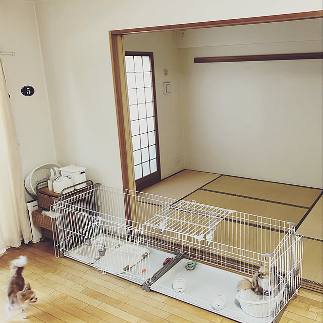 Sakuraさんの実例写真