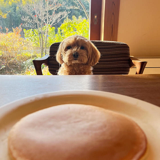 sugomoliさんの実例写真