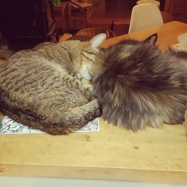 Maki-nekomamireさんの実例写真