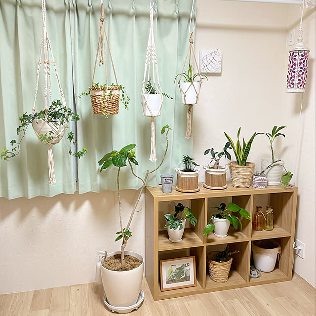 RAKI_Homeさんの実例写真