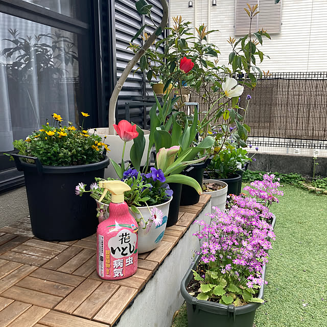 FUJICOさんの実例写真