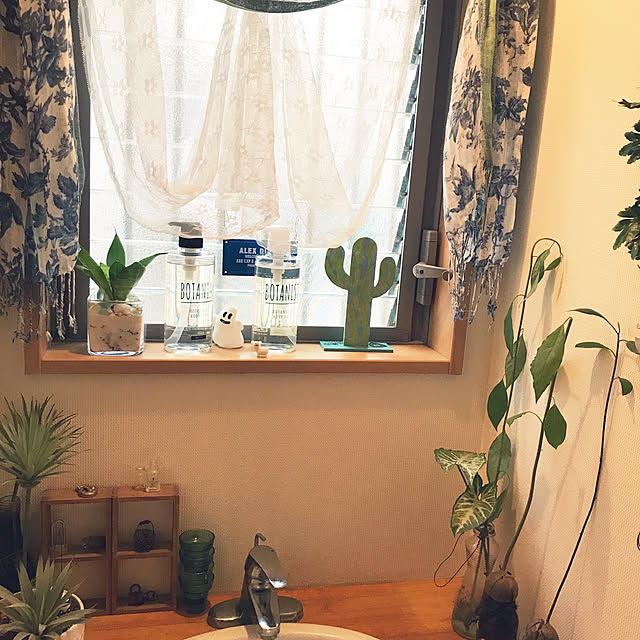 portulacaさんの実例写真