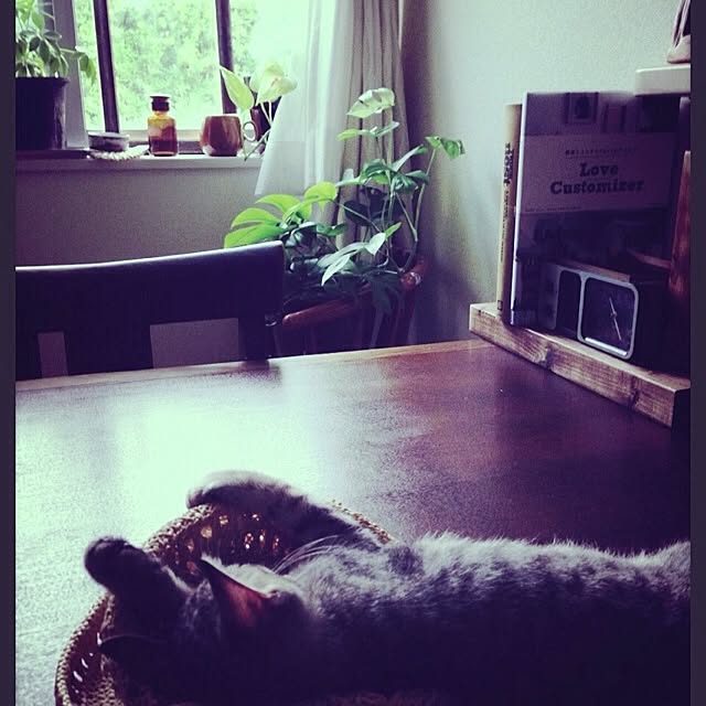 NAOさんの実例写真
