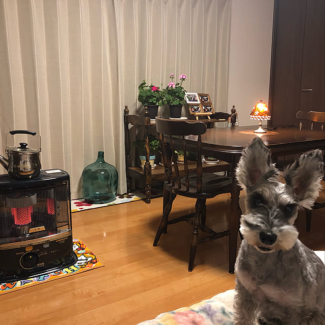 yumiさんの実例写真