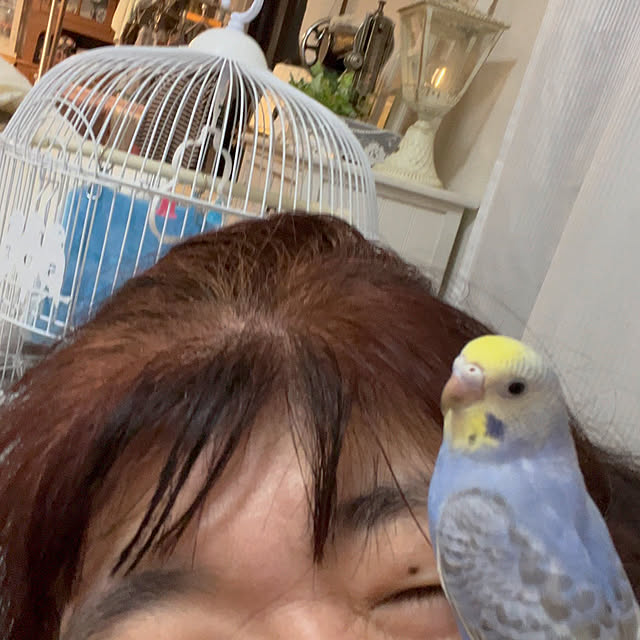 Atsukoさんの部屋