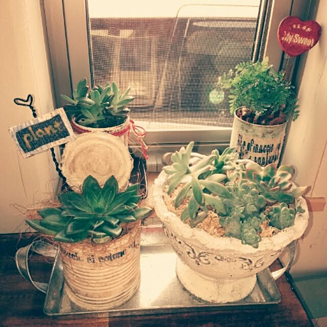 andante365さんの実例写真