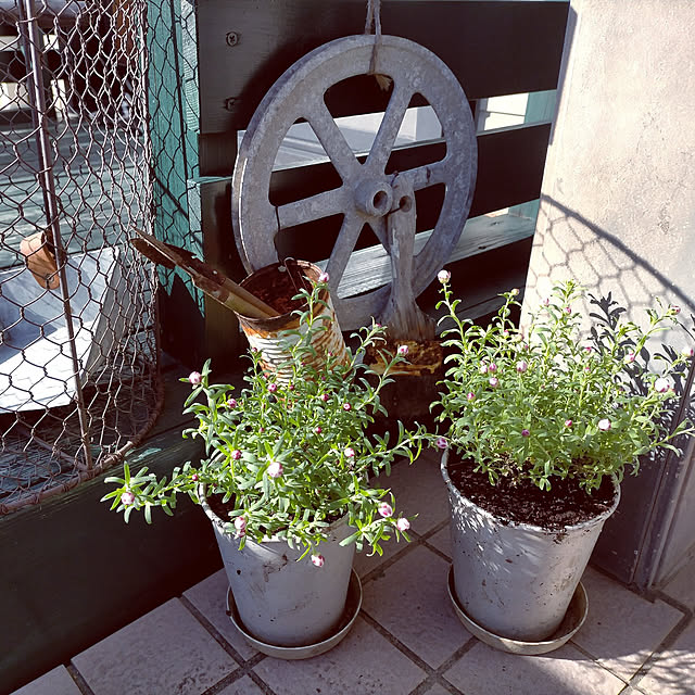 michiさんの実例写真