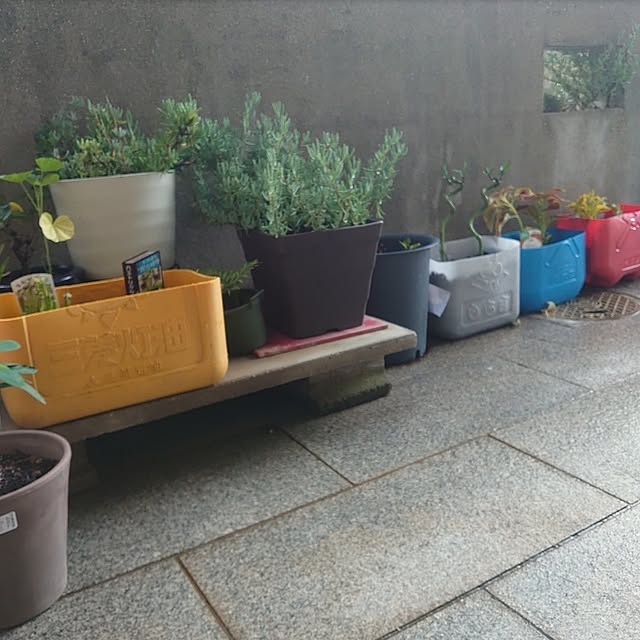 fukuさんの部屋