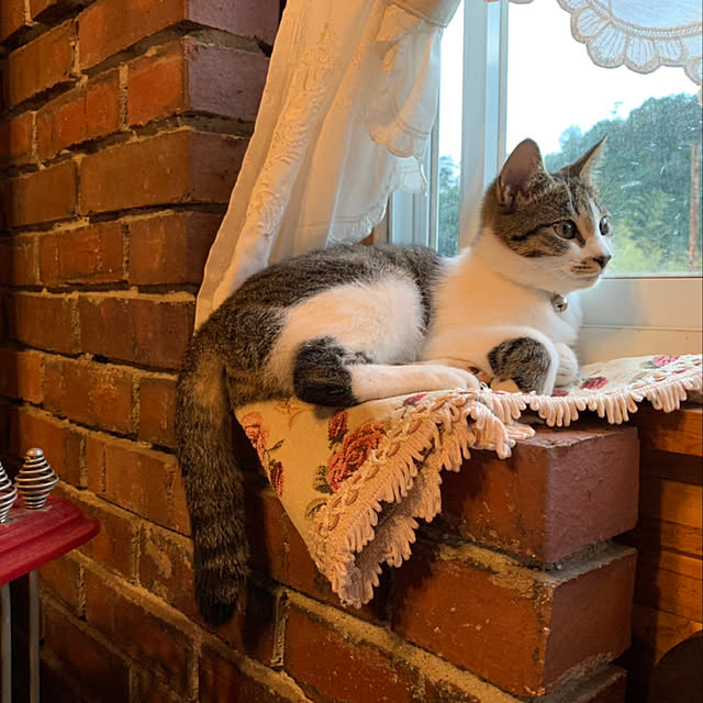 chamさんの実例写真