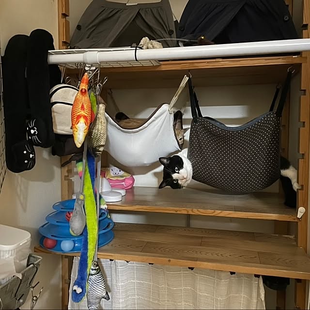 koromaroさんの実例写真