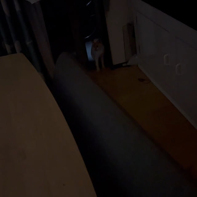 nekoさんの実例写真