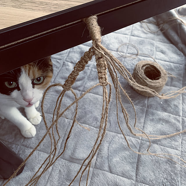 Akaneiroさんの実例写真