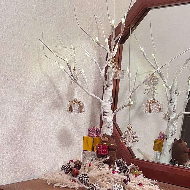 mirukoppeさんの部屋