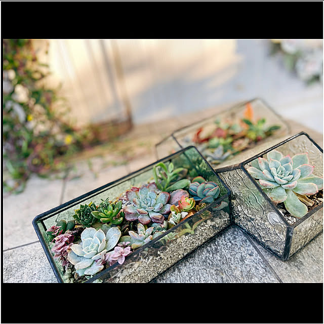 glassflowerさんの実例写真