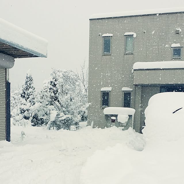 kuuuuさんの実例写真