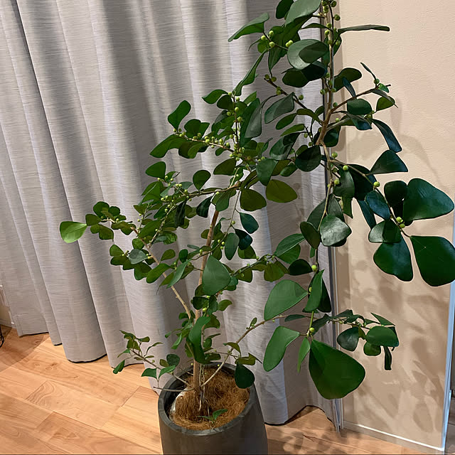 h_home.hさんの実例写真