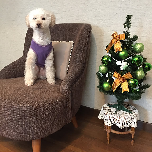 okarinさんの実例写真