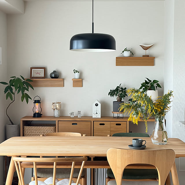 Anthuriumさんの部屋