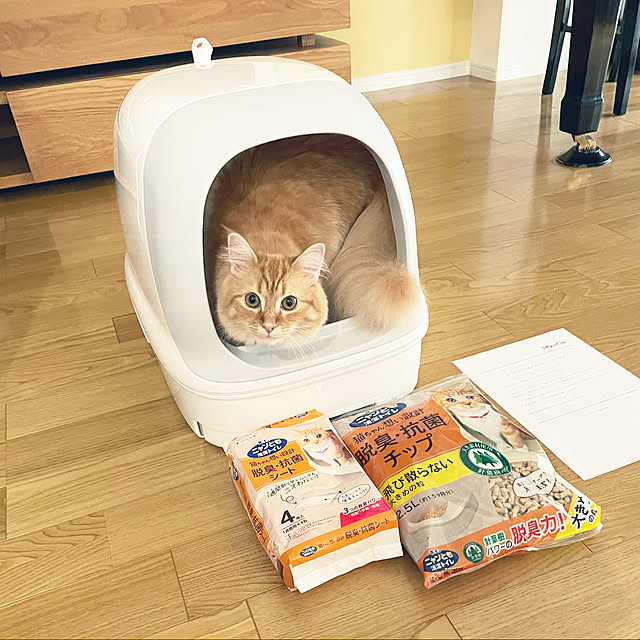 m.r.iさんの実例写真