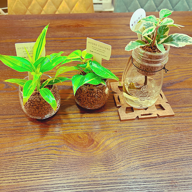 ryuyu1112218さんの実例写真