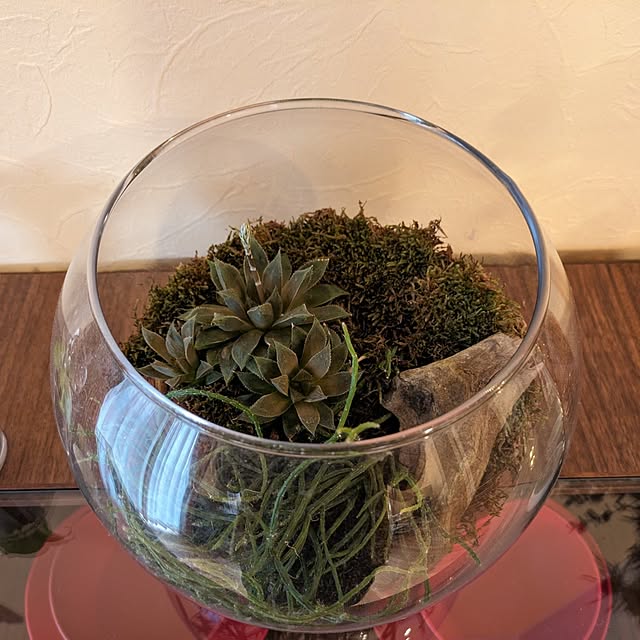 norachiwaさんの部屋