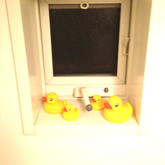 FUJIさんの実例写真