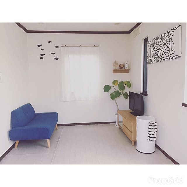yuusさんの実例写真