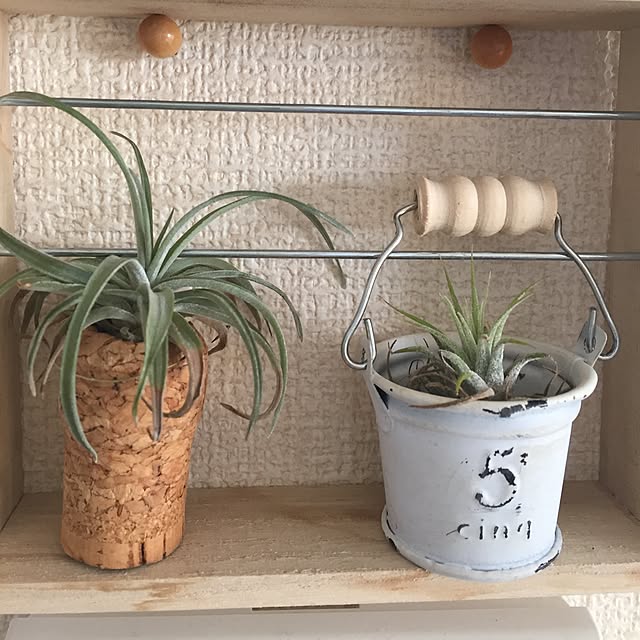 picoさんの実例写真