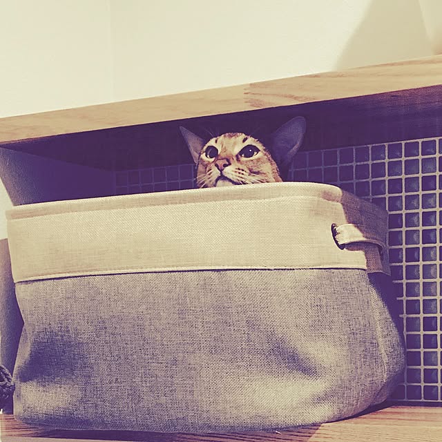 sakineko528さんの実例写真