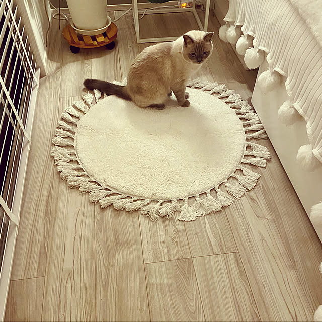 gingerwynksさんの実例写真