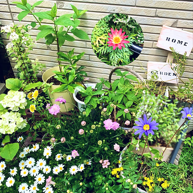 mo-nosukeさんの実例写真