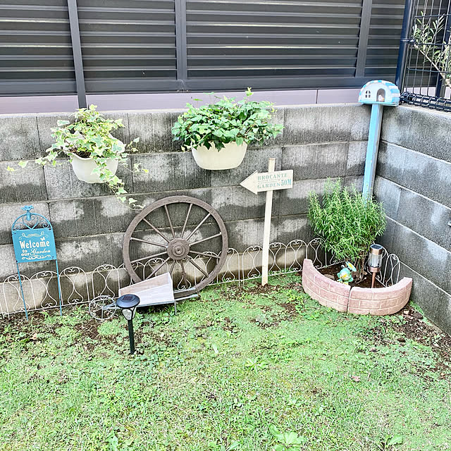 良いね、コメント有難う^_^/マンション庭付き/毎日、朝夕水やり/部屋全体のインテリア実例 - 2021-07-29 14:51:43