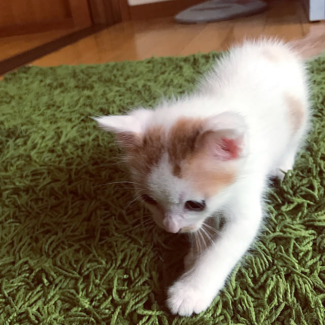 maroさんの実例写真