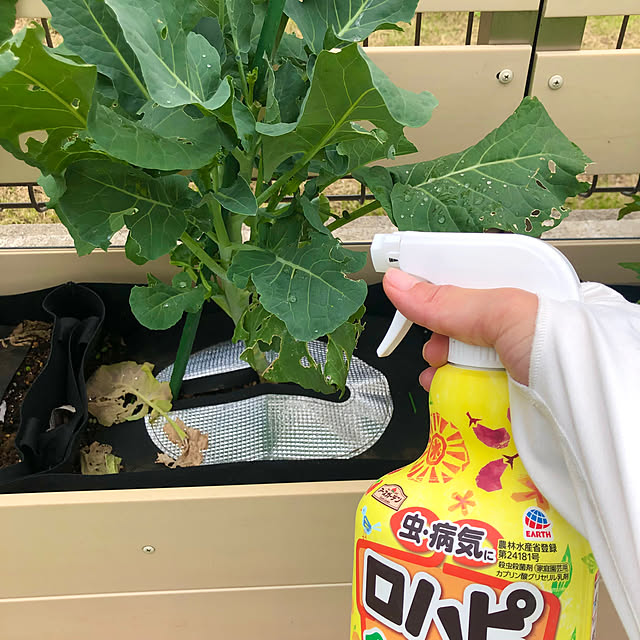 tomoさんの実例写真