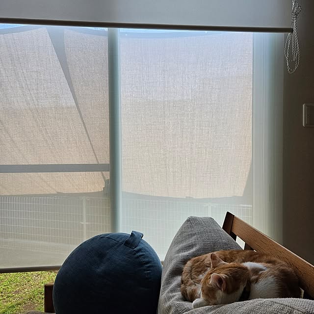 koyurizuさんの部屋