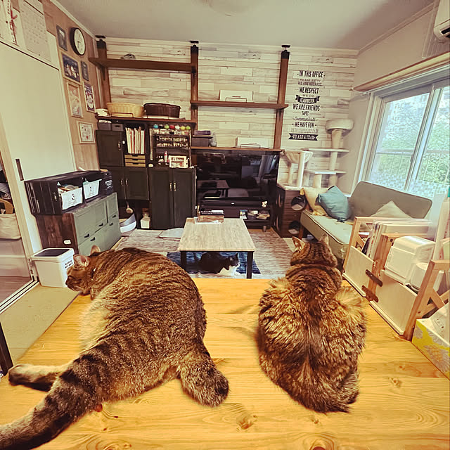 sumoanzuさんの実例写真