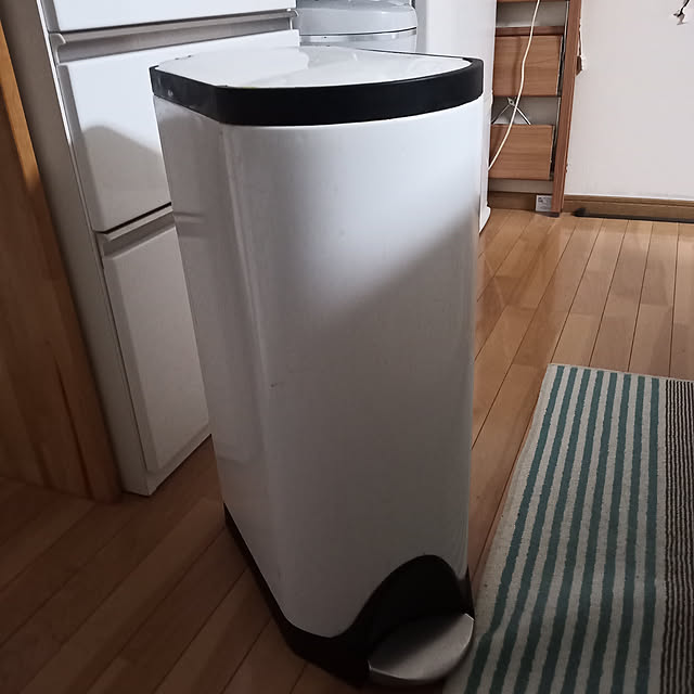 cotamaroのsimplehuman-simplehuman シンプルヒューマン バタフライステップダストボックスの家具・インテリア写真