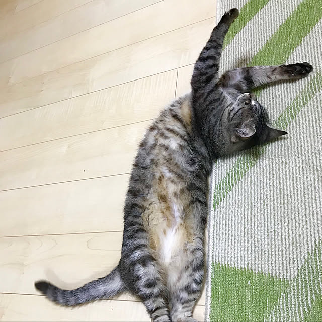 Shinさんの実例写真