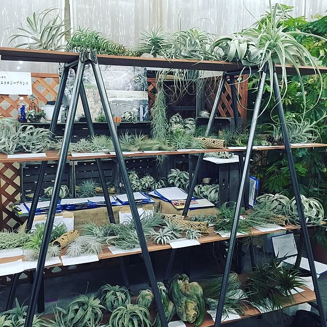 Junk_sweet_Garden_teftefさんの実例写真